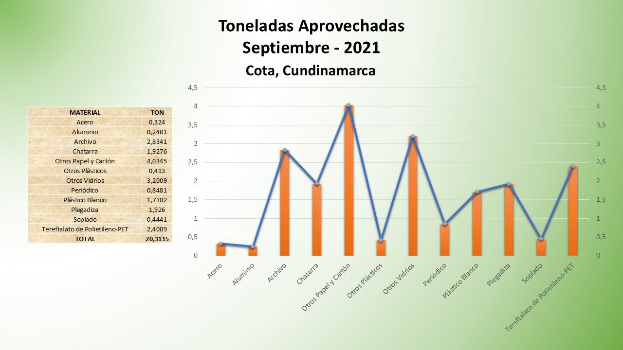 Diapositiva11