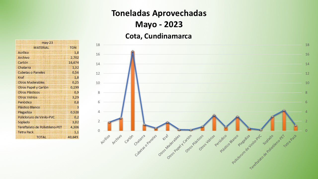 Diapositiva31